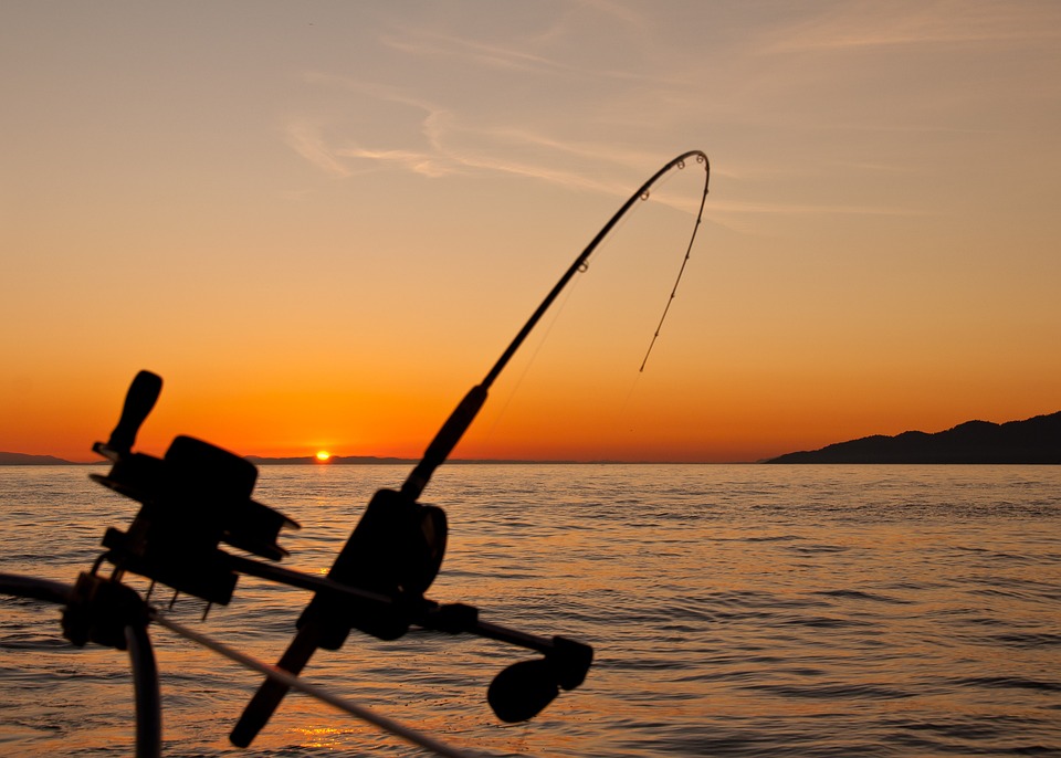 Fishing gear and equipment