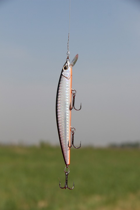 Fishing lures and baits